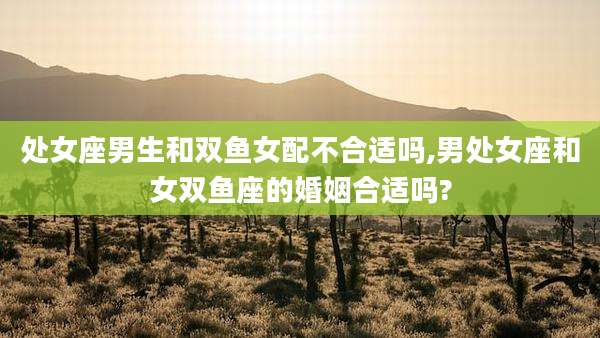 处女座男生和双鱼女配不合适吗,男处女座和女双鱼座的婚姻合适吗?