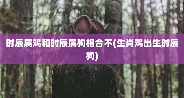 时辰属鸡和时辰属狗相合不(生肖鸡出生时辰狗)