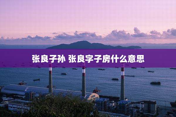 张良子孙 张良字子房什么意思