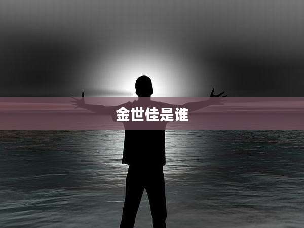 金世佳是谁
