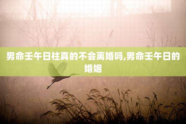 男命壬午日柱真的不会离婚吗,男命壬午日的婚姻