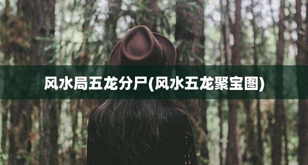 风水局五龙分尸(风水五龙聚宝图)