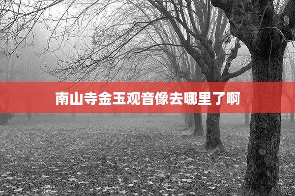 南山寺金玉观音像去哪里了啊