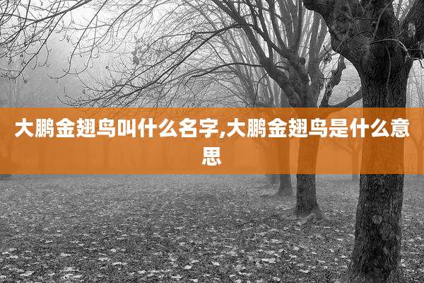 大鹏金翅鸟叫什么名字,大鹏金翅鸟是什么意思