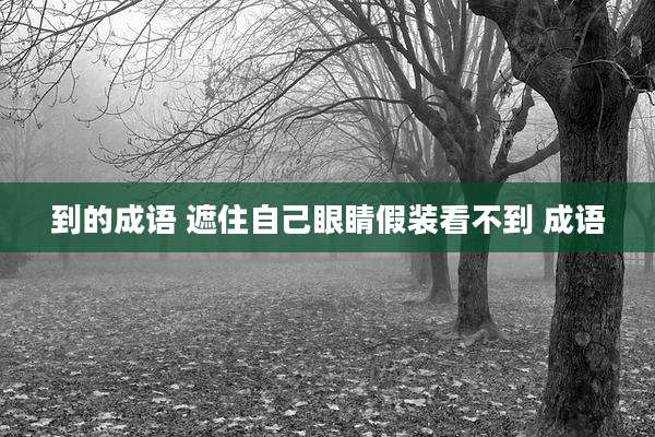 到的成语 遮住自己眼睛假装看不到 成语