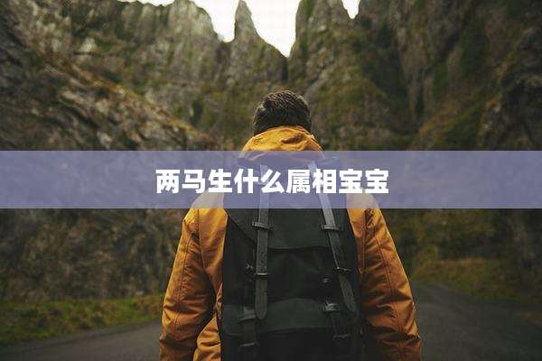 两马生什么属相宝宝