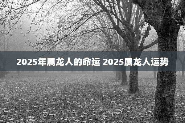 2025年属龙人的命运 2025属龙人运势