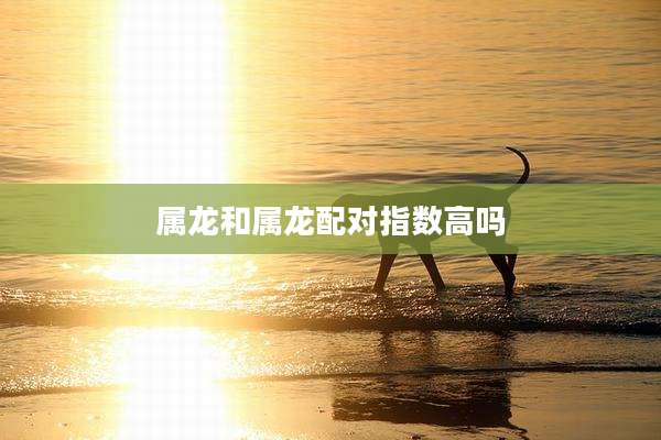 属龙和属龙配对指数高吗