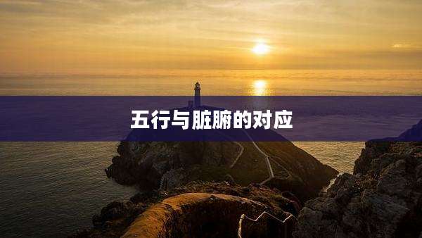 五行与脏腑的对应