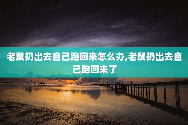 老鼠扔出去自己跑回来怎么办,老鼠扔出去自己跑回来了
