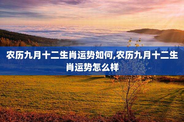农历九月十二生肖运势如何,农历九月十二生肖运势怎么样