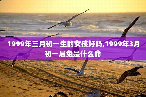 1999年三月初一生的女孩好吗,1999年3月初一属兔是什么命