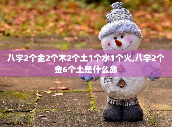 八字2个金2个木2个土1个水1个火,八字2个金6个土是什么命
