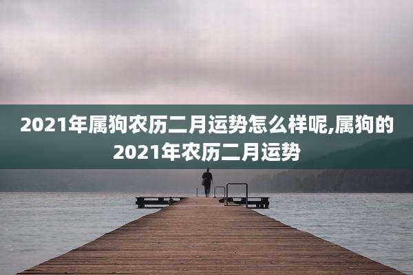 2021年属狗农历二月运势怎么样呢,属狗的2021年农历二月运势