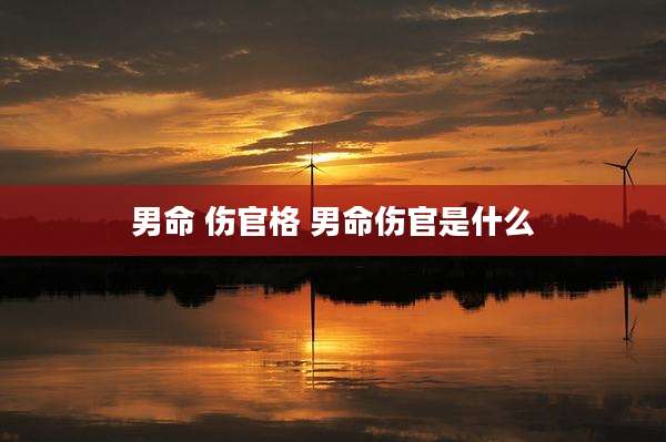 男命 伤官格 男命伤官是什么