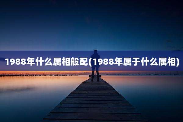 1988年什么属相般配(1988年属于什么属相)