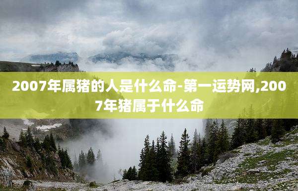 2007年属猪的人是什么命-第一运势网,2007年猪属于什么命