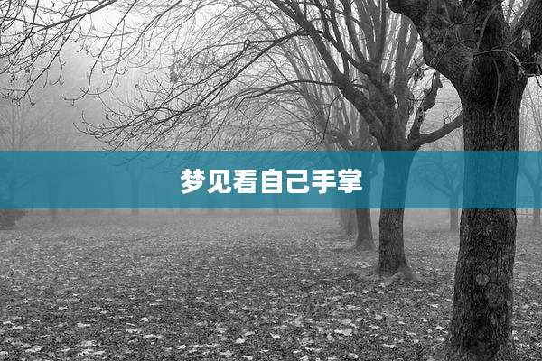 梦见看自己手掌