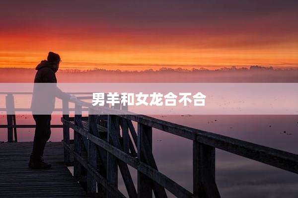 男羊和女龙合不合