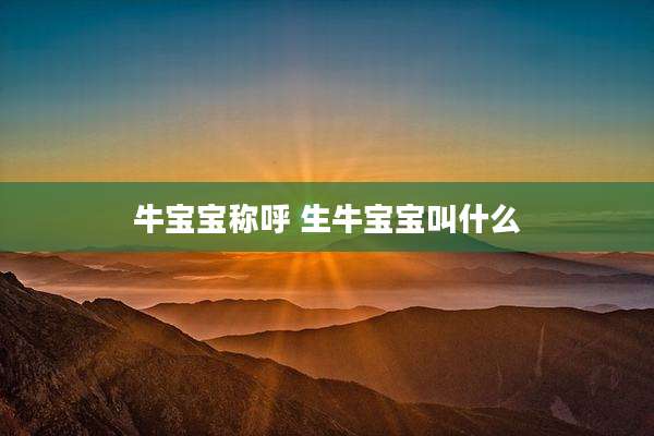 牛宝宝称呼 生牛宝宝叫什么