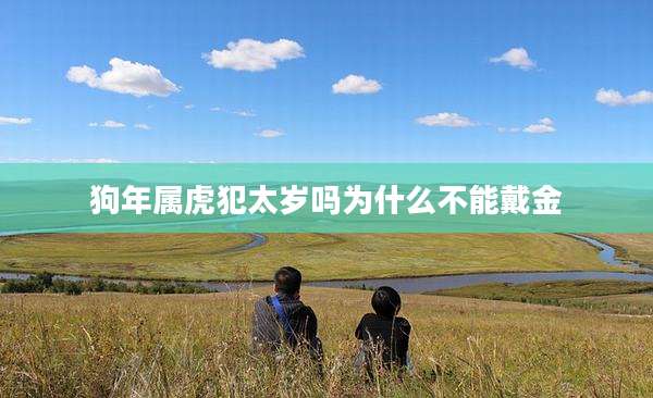 狗年属虎犯太岁吗为什么不能戴金