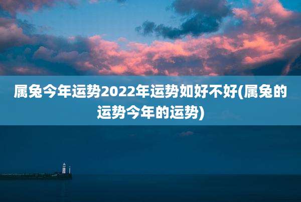 属兔今年运势2022年运势如好不好(属兔的运势今年的运势)