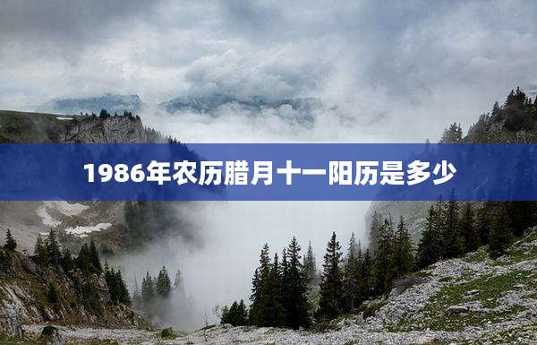 1986年农历腊月十一阳历是多少