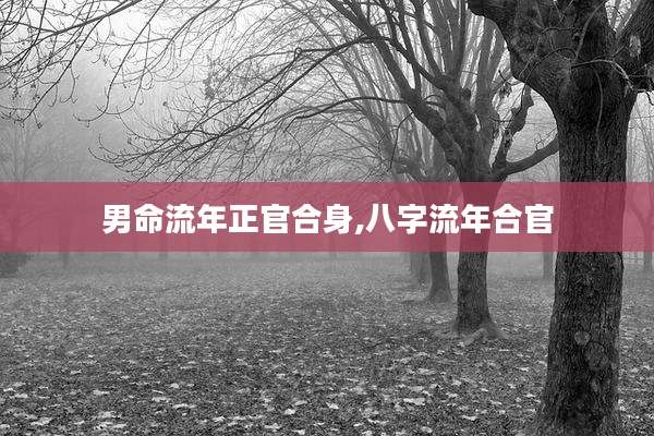 男命流年正官合身,八字流年合官