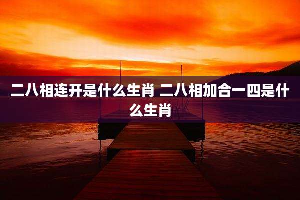 二八相连开是什么生肖 二八相加合一四是什么生肖