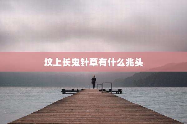 坟上长鬼针草有什么兆头