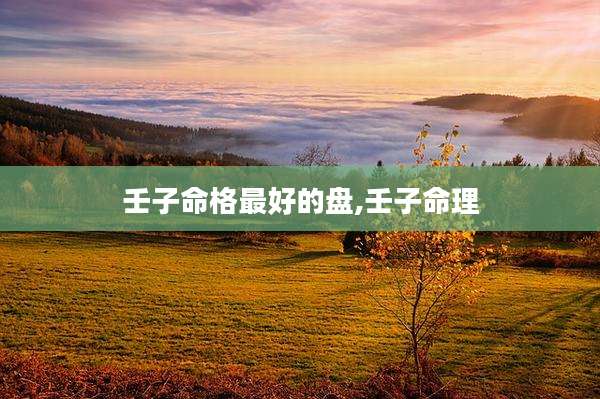 壬子命格最好的盘,壬子命理