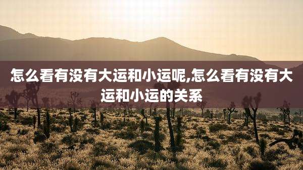 怎么看有没有大运和小运呢,怎么看有没有大运和小运的关系