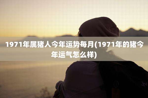 1971年属猪人今年运势每月(1971年的猪今年运气怎么样)