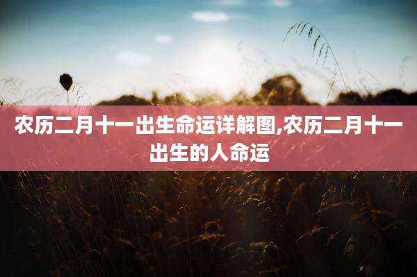 农历二月十一出生命运详解图,农历二月十一出生的人命运