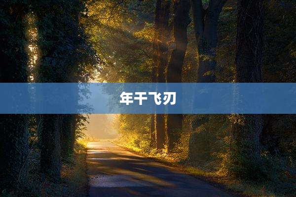 年干飞刃