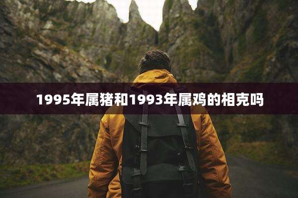 1995年属猪和1993年属鸡的相克吗