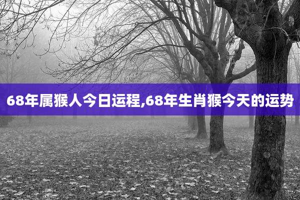 68年属猴人今日运程,68年生肖猴今天的运势