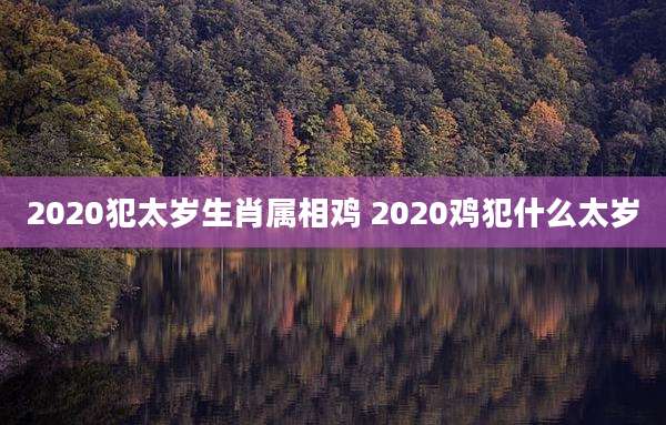 2020犯太岁生肖属相鸡 2020鸡犯什么太岁