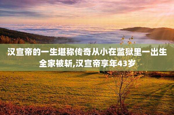汉宣帝的一生堪称传奇从小在监狱里一出生全家被斩,汉宣帝享年43岁