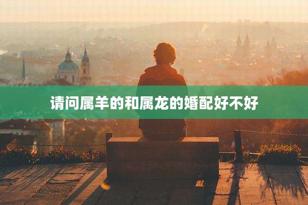 请问属羊的和属龙的婚配好不好