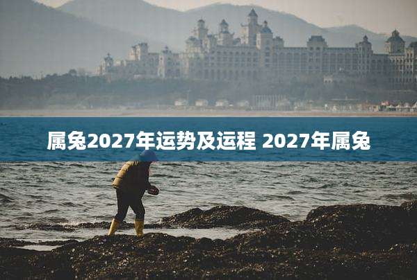 属兔2027年运势及运程 2027年属兔