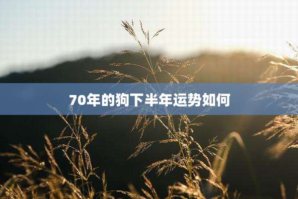 70年的狗下半年运势如何