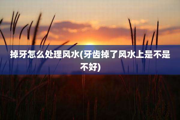掉牙怎么处理风水(牙齿掉了风水上是不是不好)
