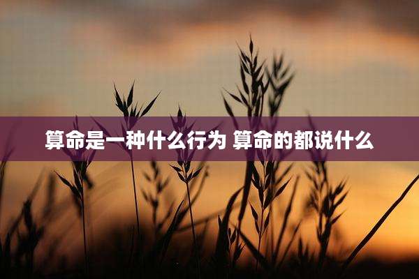 算命是一种什么行为 算命的都说什么