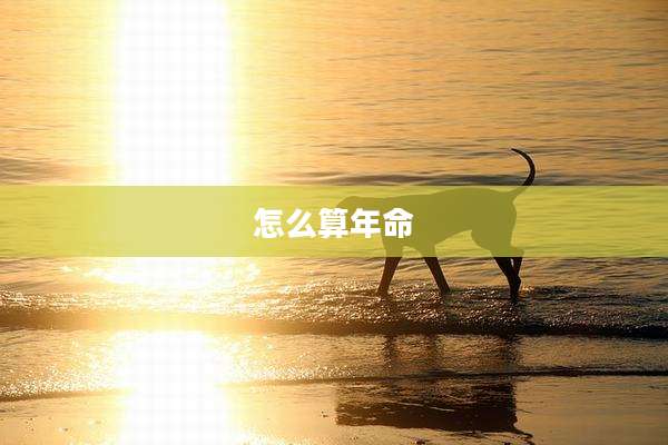 怎么算年命