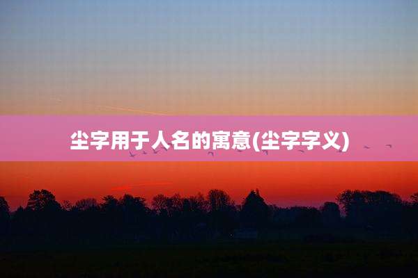 尘字用于人名的寓意(尘字字义)