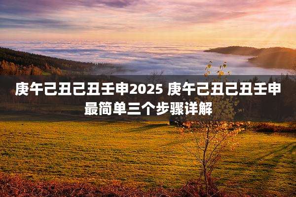 庚午己丑己丑壬申2025 庚午己丑己丑壬申最简单三个步骤详解