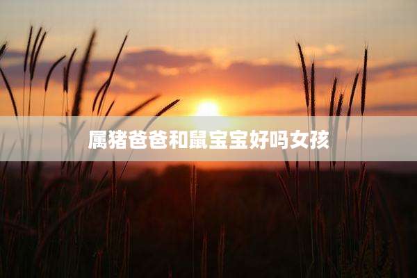 属猪爸爸和鼠宝宝好吗女孩