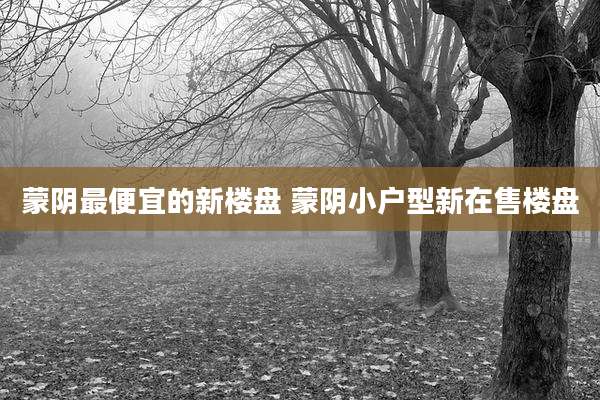 蒙阴最便宜的新楼盘 蒙阴小户型新在售楼盘