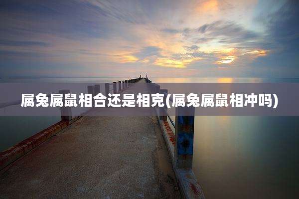 属兔属鼠相合还是相克(属兔属鼠相冲吗)